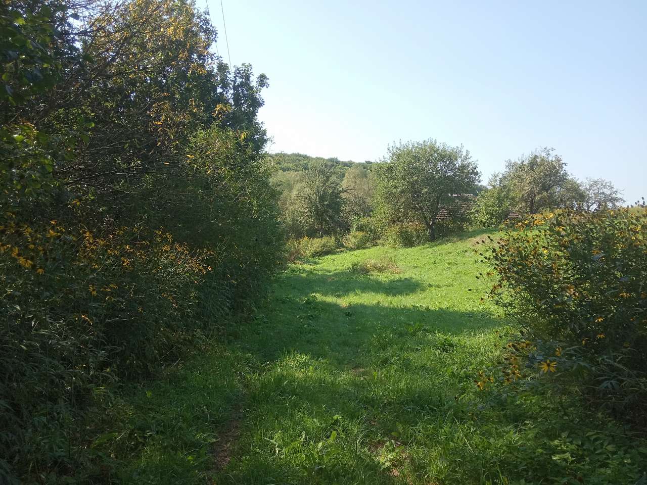 Краєвид - Пила