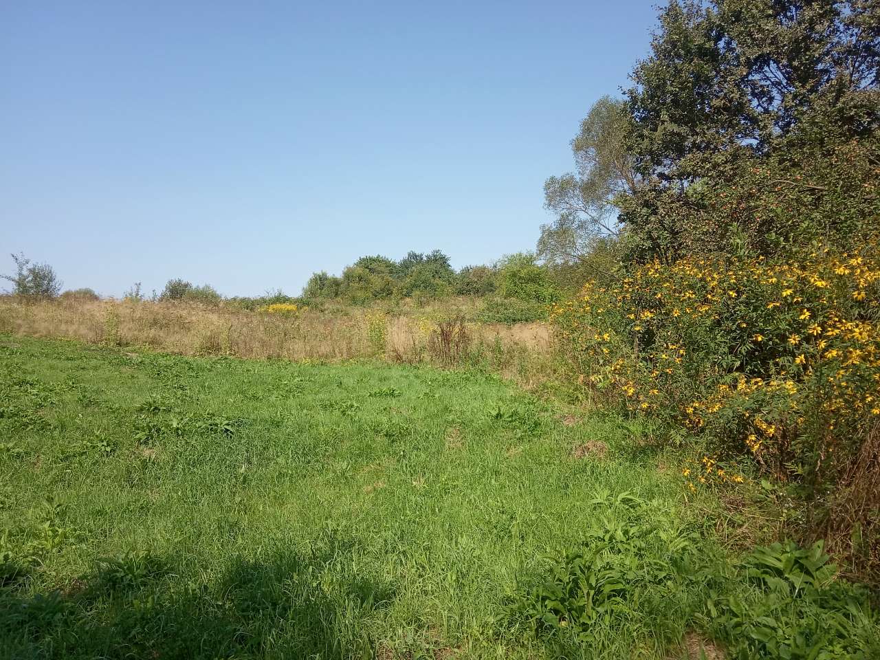 Краєвид - Pyla