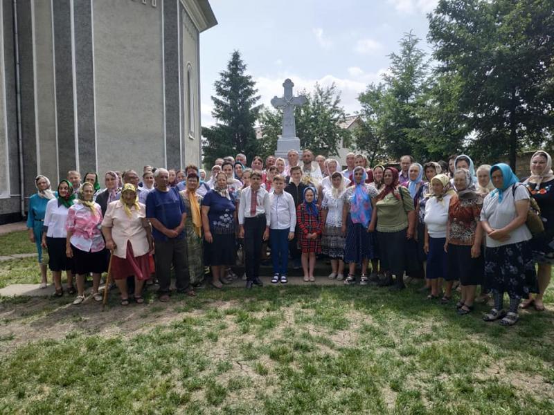 Товтри - Товтры