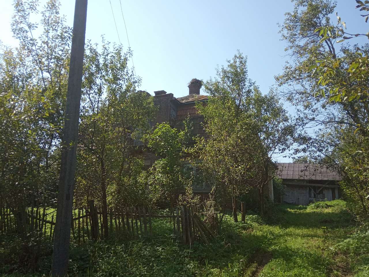 Краєвид - Пила
