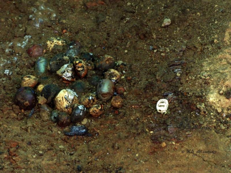 Археологи розкопали унікальні артефакти на По - Котельва