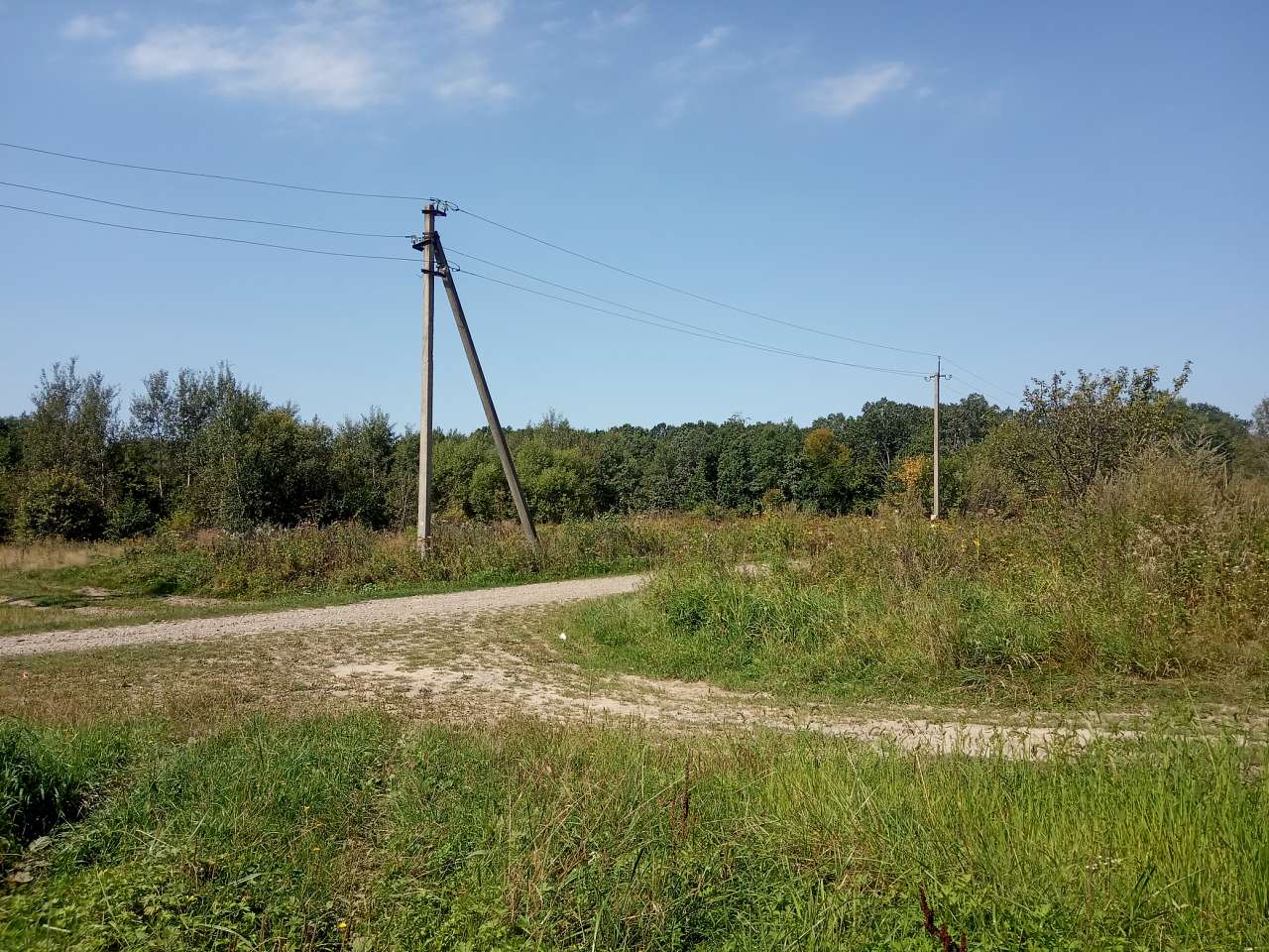 Краєвид - Пила