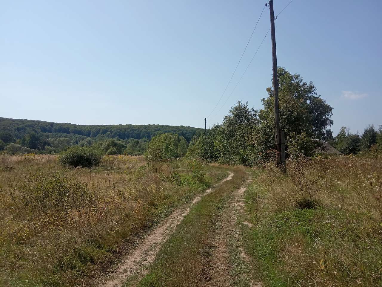 Краєвид - Пила