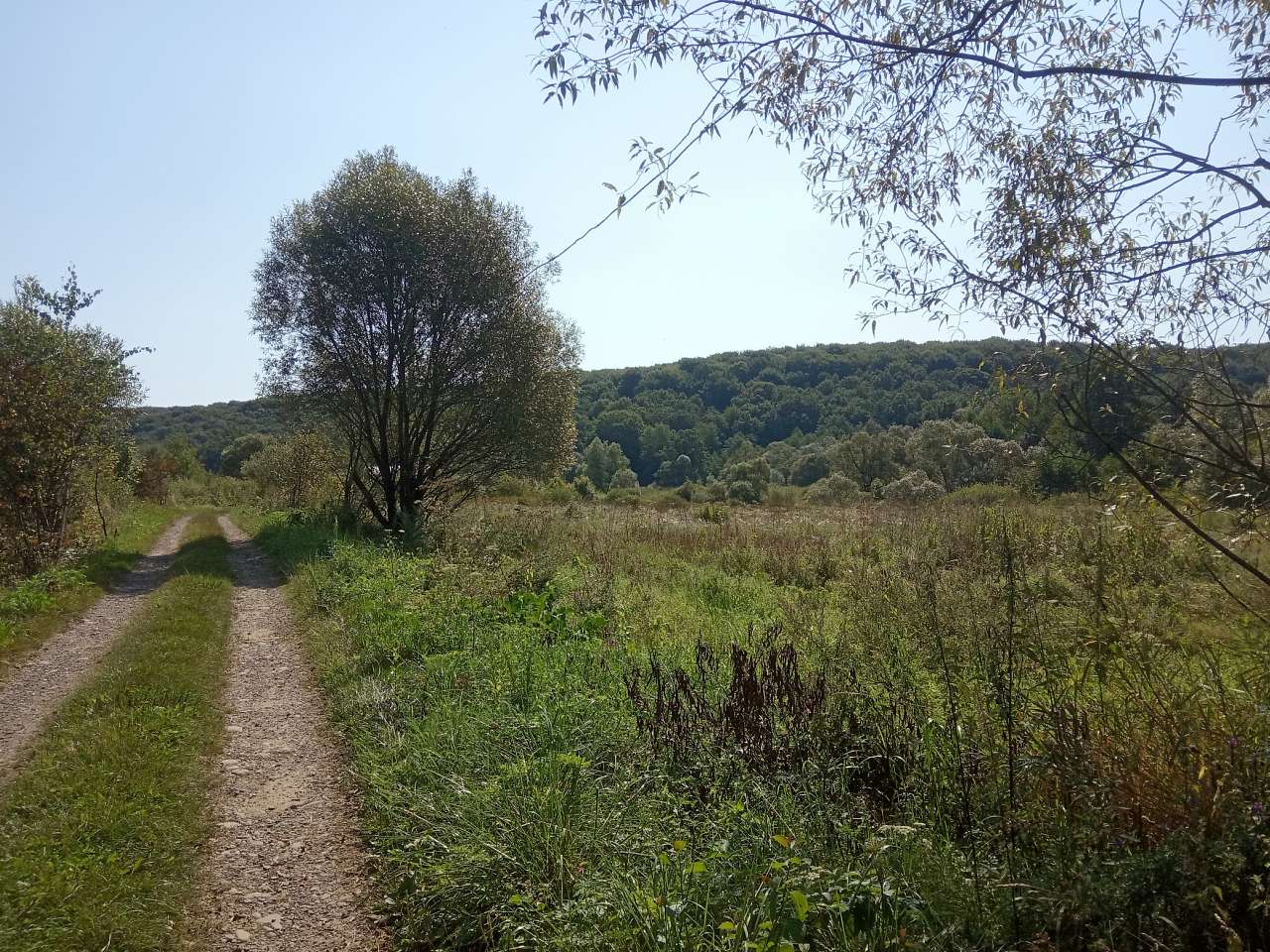 Краєвид - Pyla