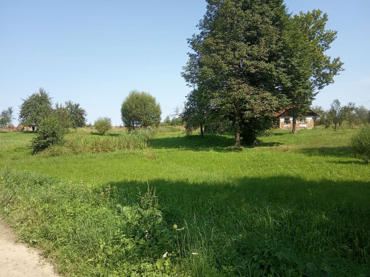 Краєвид - Пила