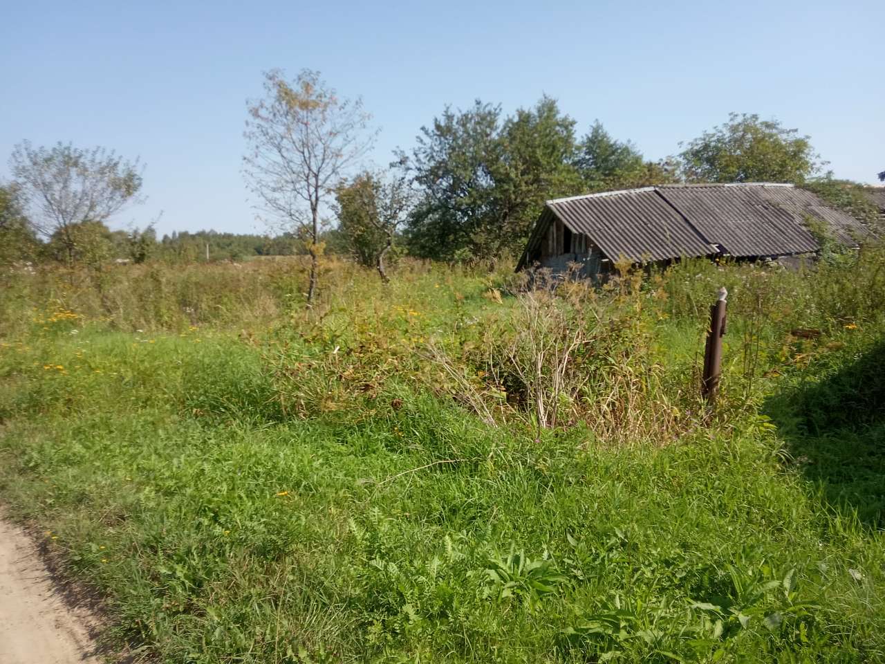 Краєвид - Пила