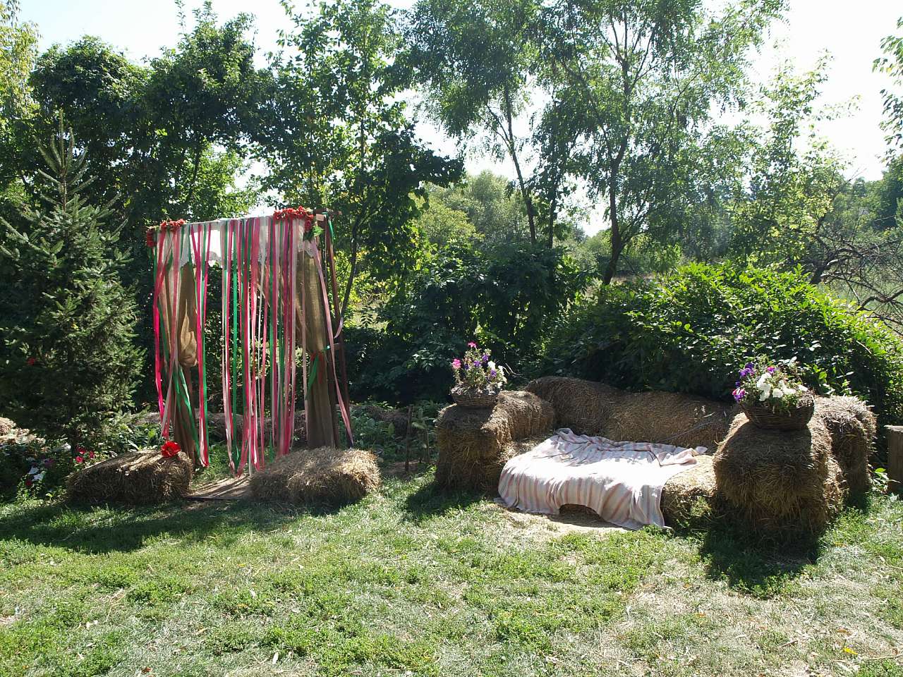 ДИКИЙ ХУТІР - Буда