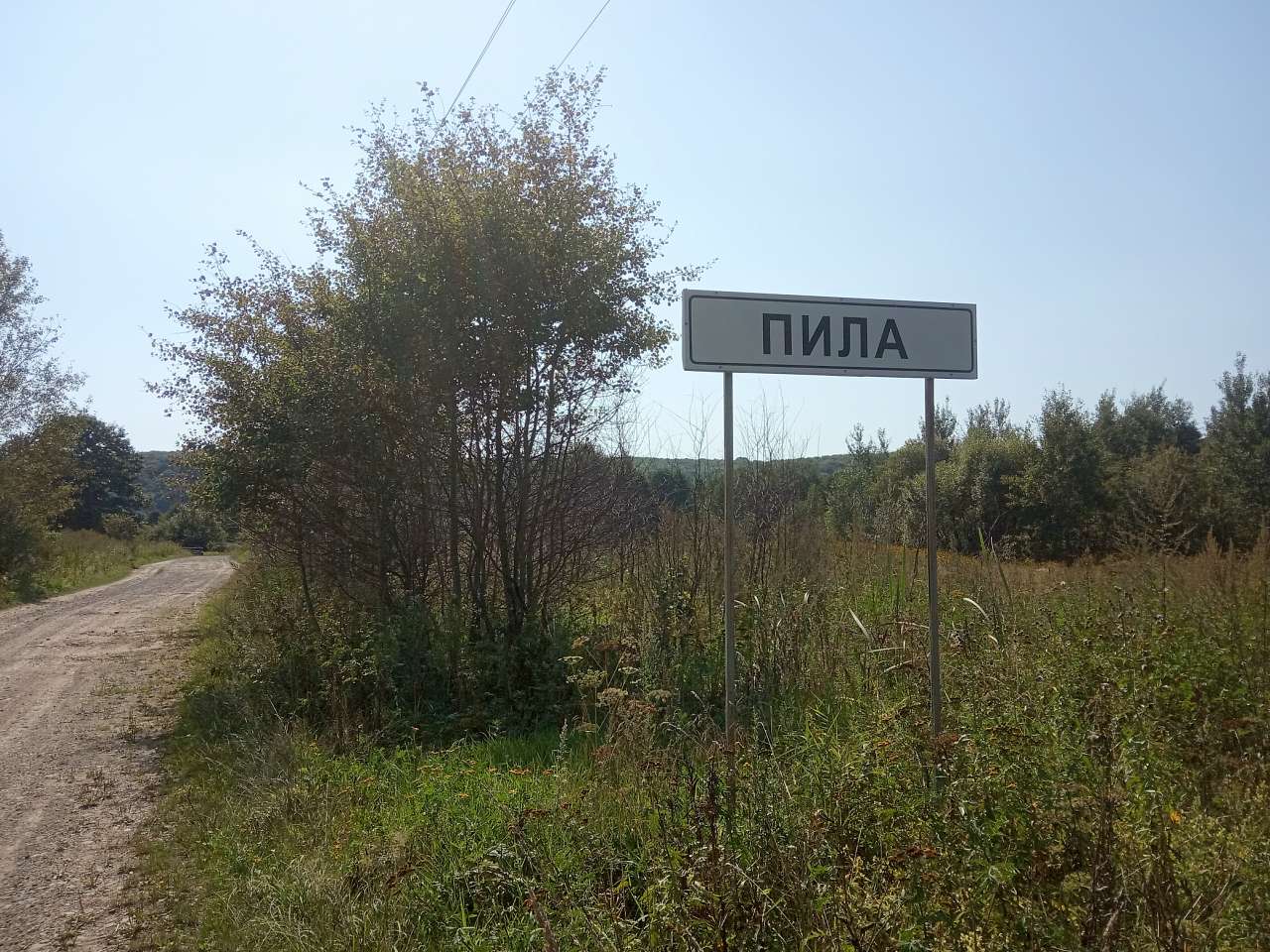 Краєвид - Пила