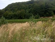 Річка Іловець