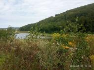 Річка Іловець