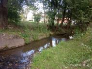 Ведмежий струмок