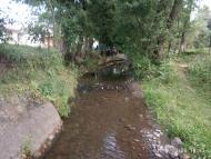 Ведмежий струмок