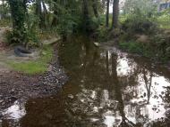 Ведмежий струмок