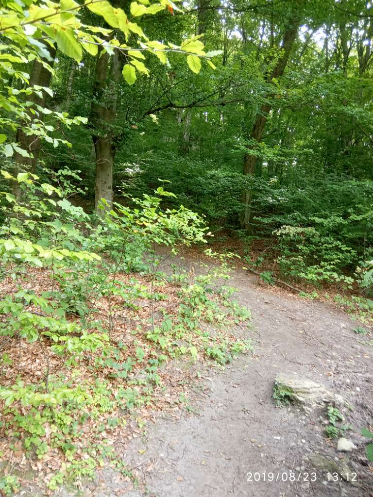 Краєвид - Ілів