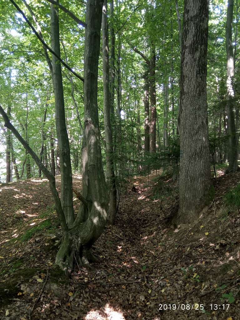 Парки - Morshyn