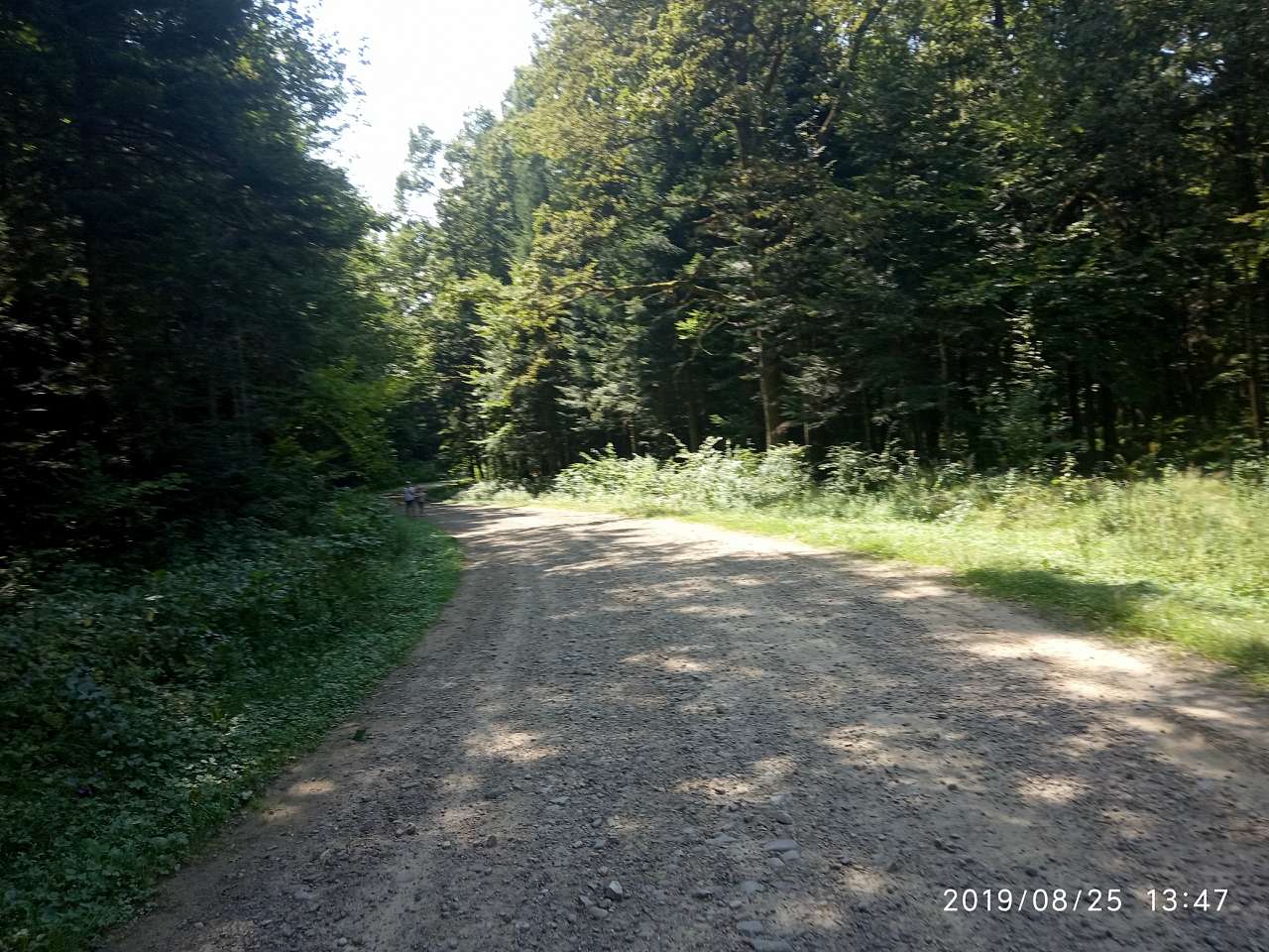 Парки - Morshyn