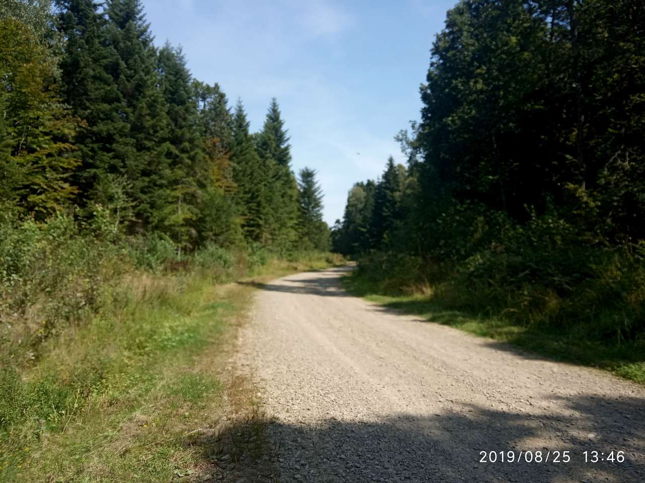 Парки - Morshyn