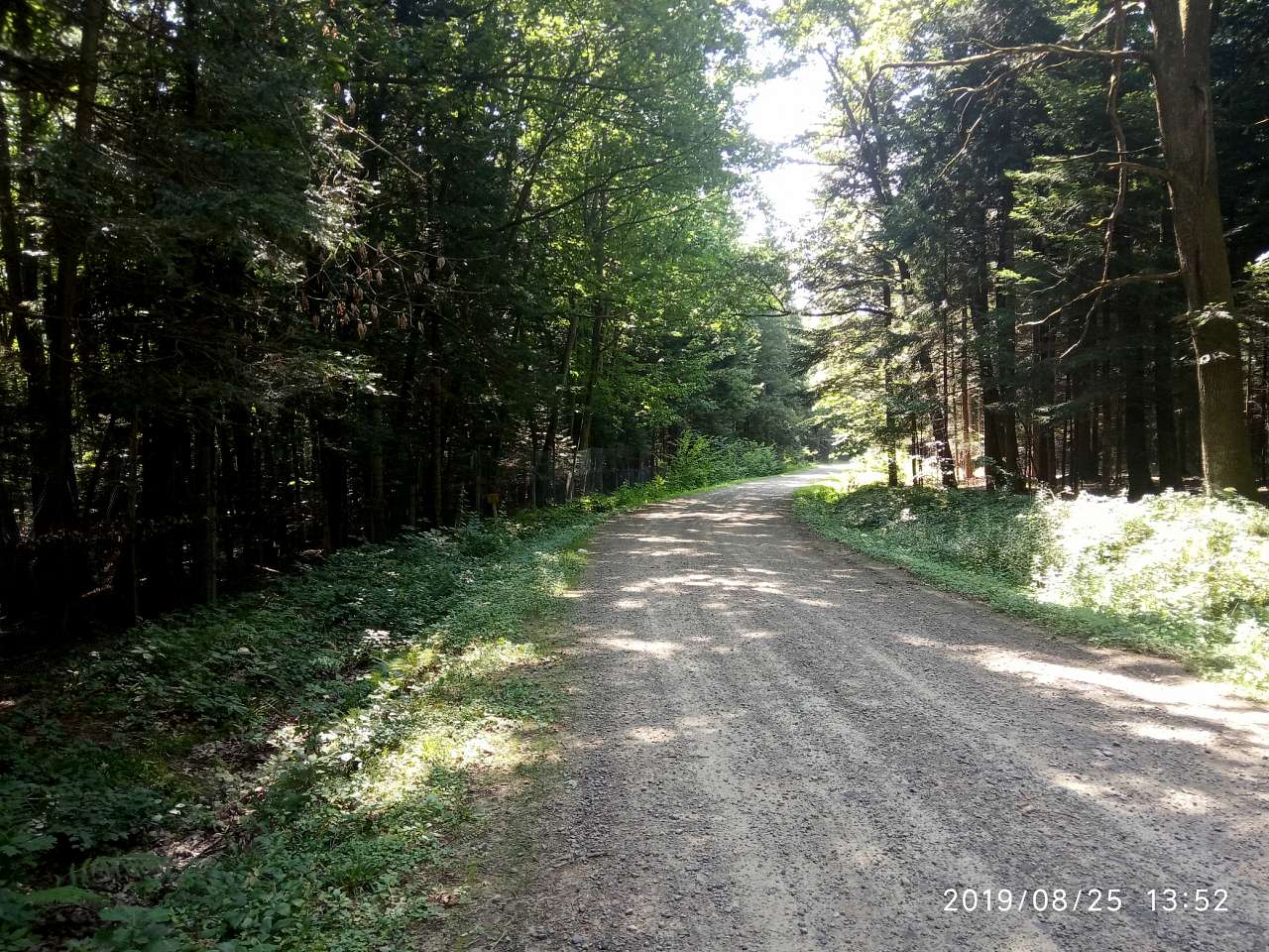 Парки - Morshyn