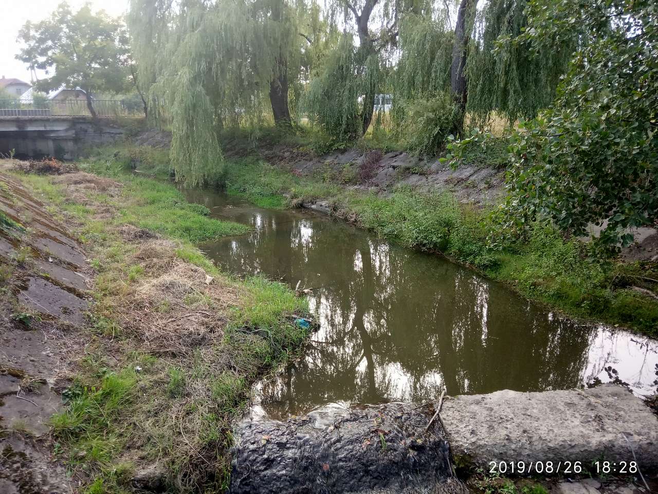 Ведмежий струмок - Довголука