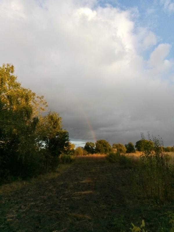 Гурівці - 2019 - Гурівці