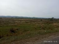 Гузіїв - Останні фото