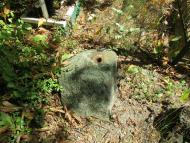 Кам'яні хрести минулих часів