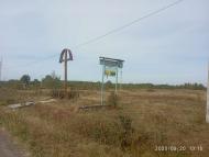 Гузіїв - Останні фото