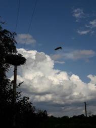 Моменти із села