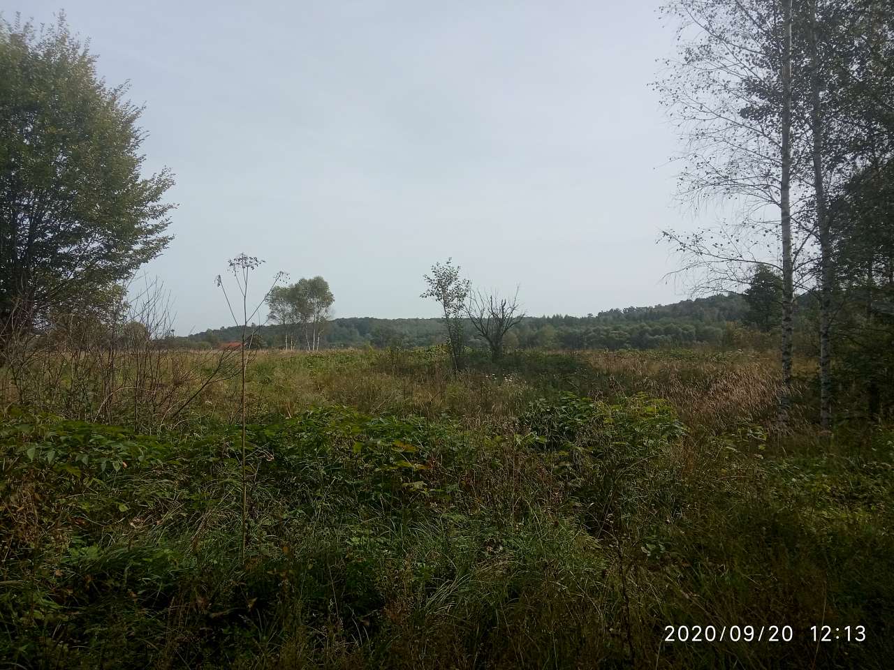 краєвид - Smolyanyy
