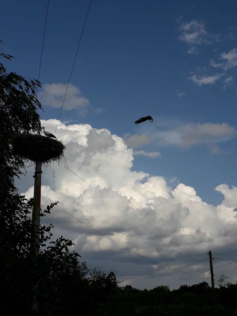 Моменти із села - Карвинівка