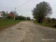 Довголука - Останні фото