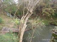 Ведмежий струмок