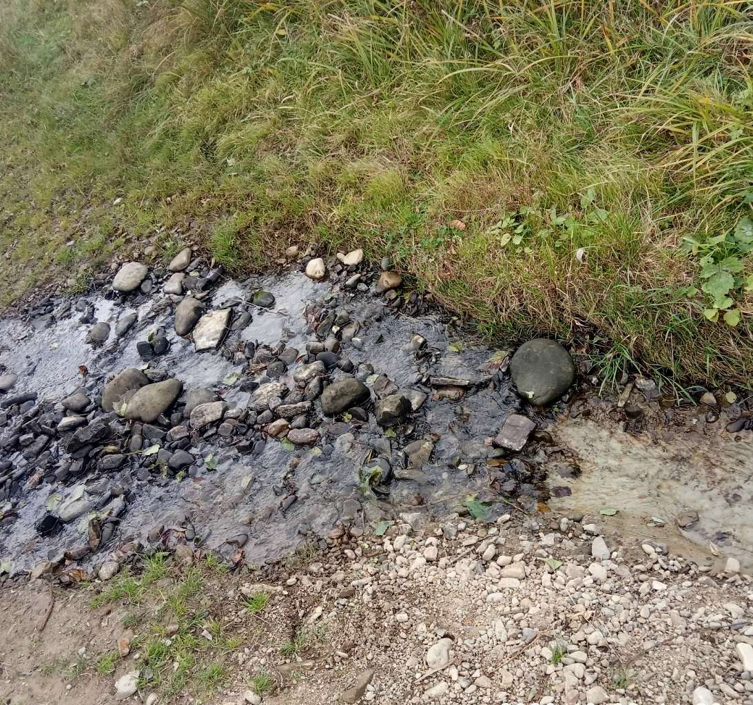 Струмок - Хромогорб