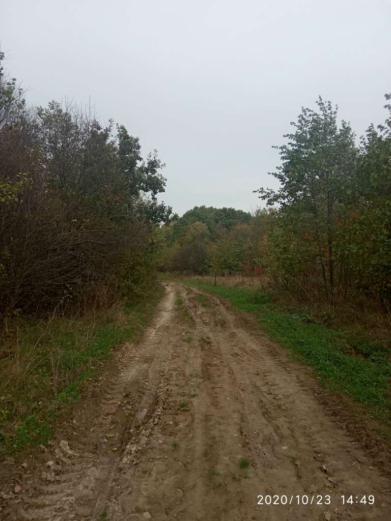 Краєвид - Хромогорб