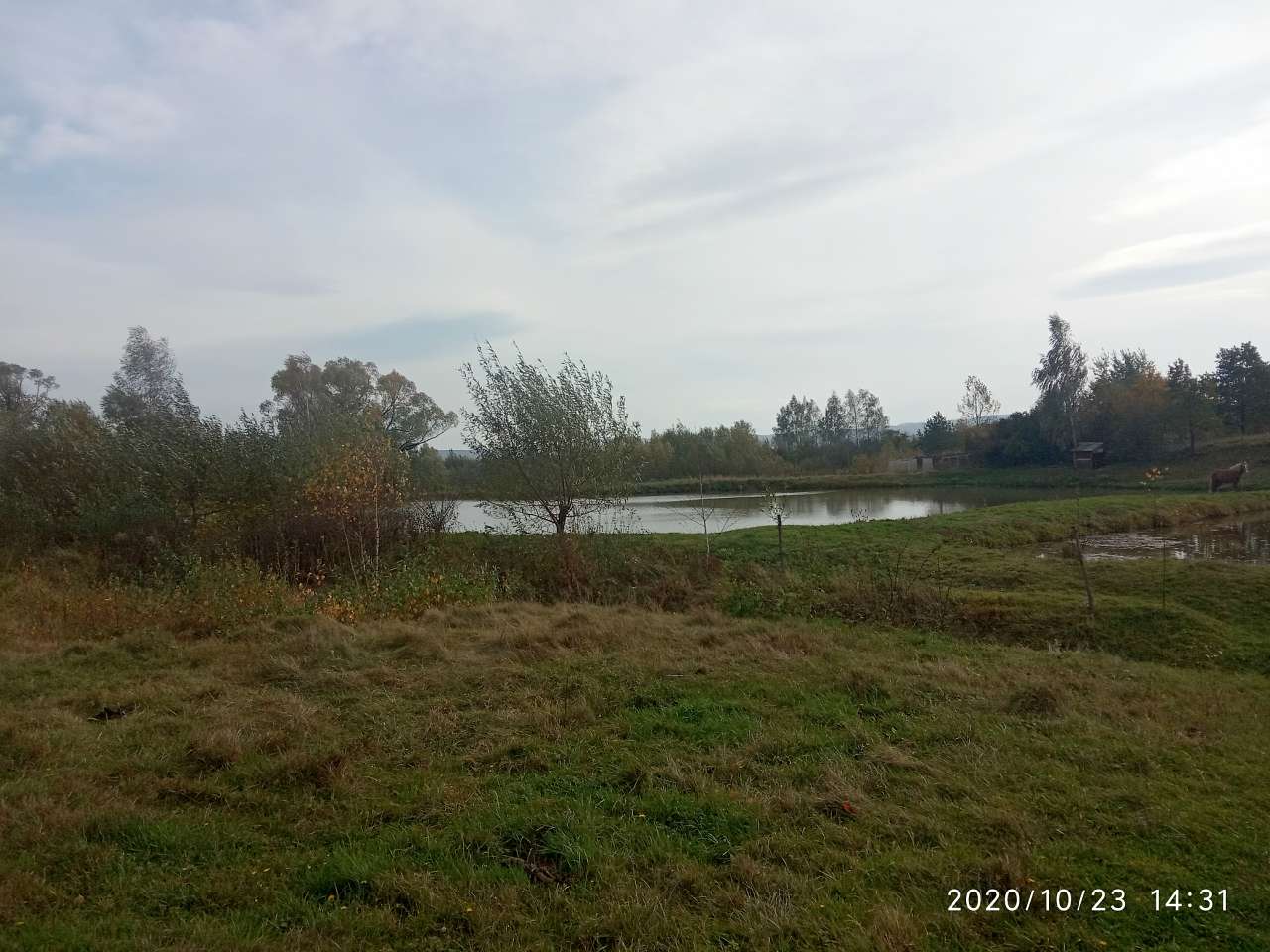 Ставки - Хромогорб