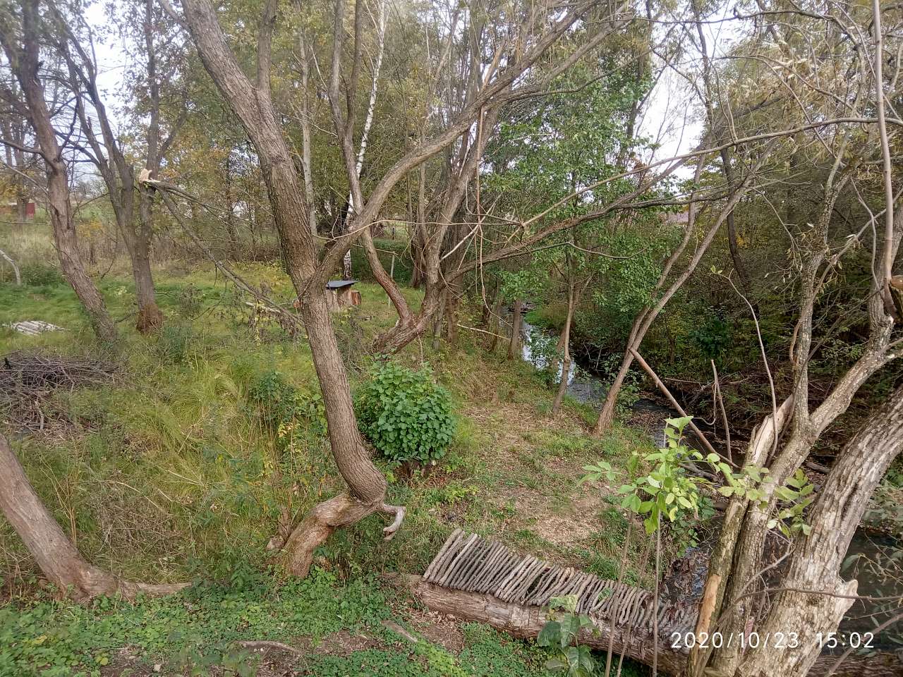 Ведмежий струмок - Довголука