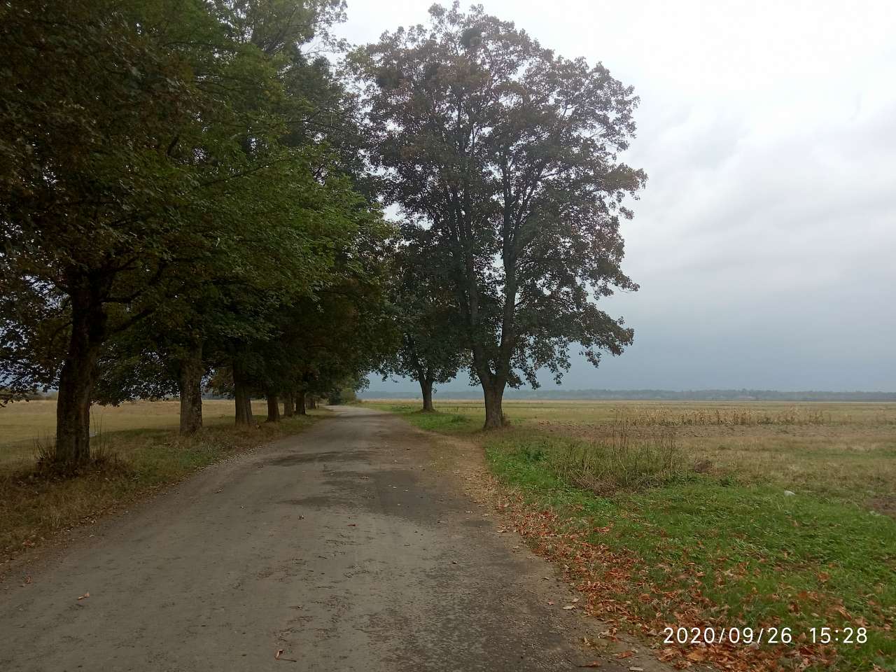 краєвид - Грабовець