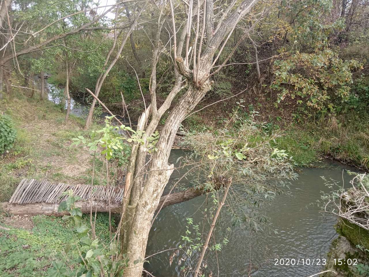 Ведмежий струмок - Долголука