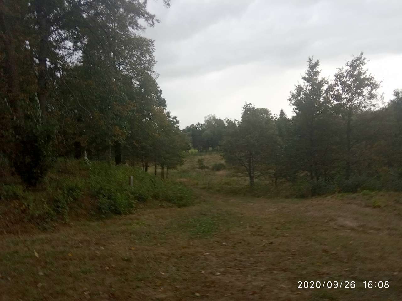 Краєвид - Монастирець