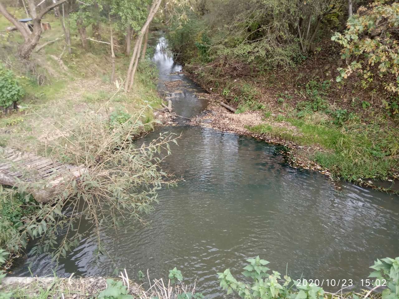 Ведмежий струмок - Довголука