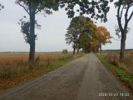 Конюхів - Останні фото