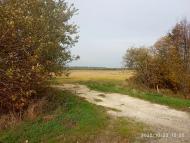 Конюхів - Останні фото