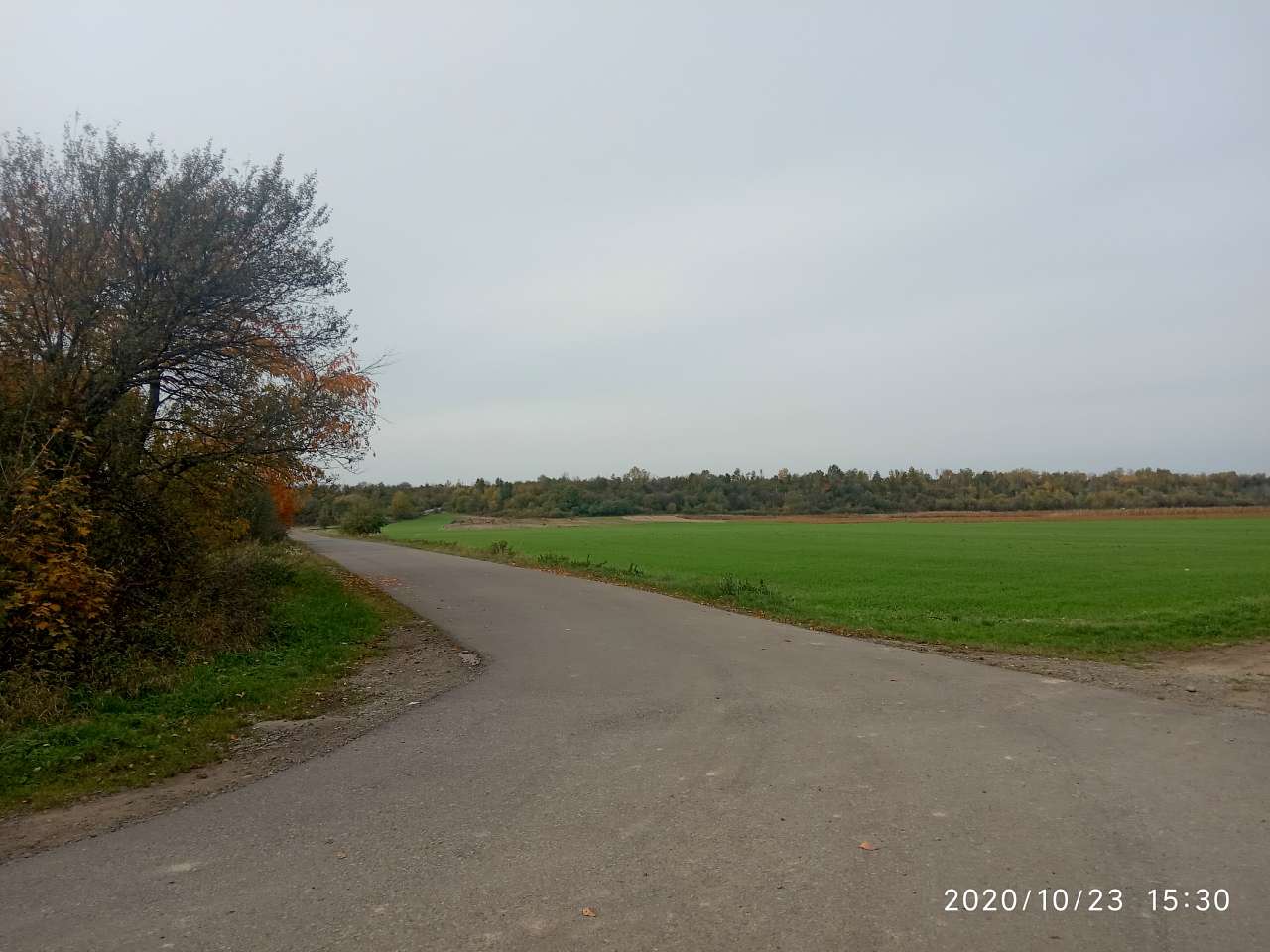 Краєвид - Конюхів