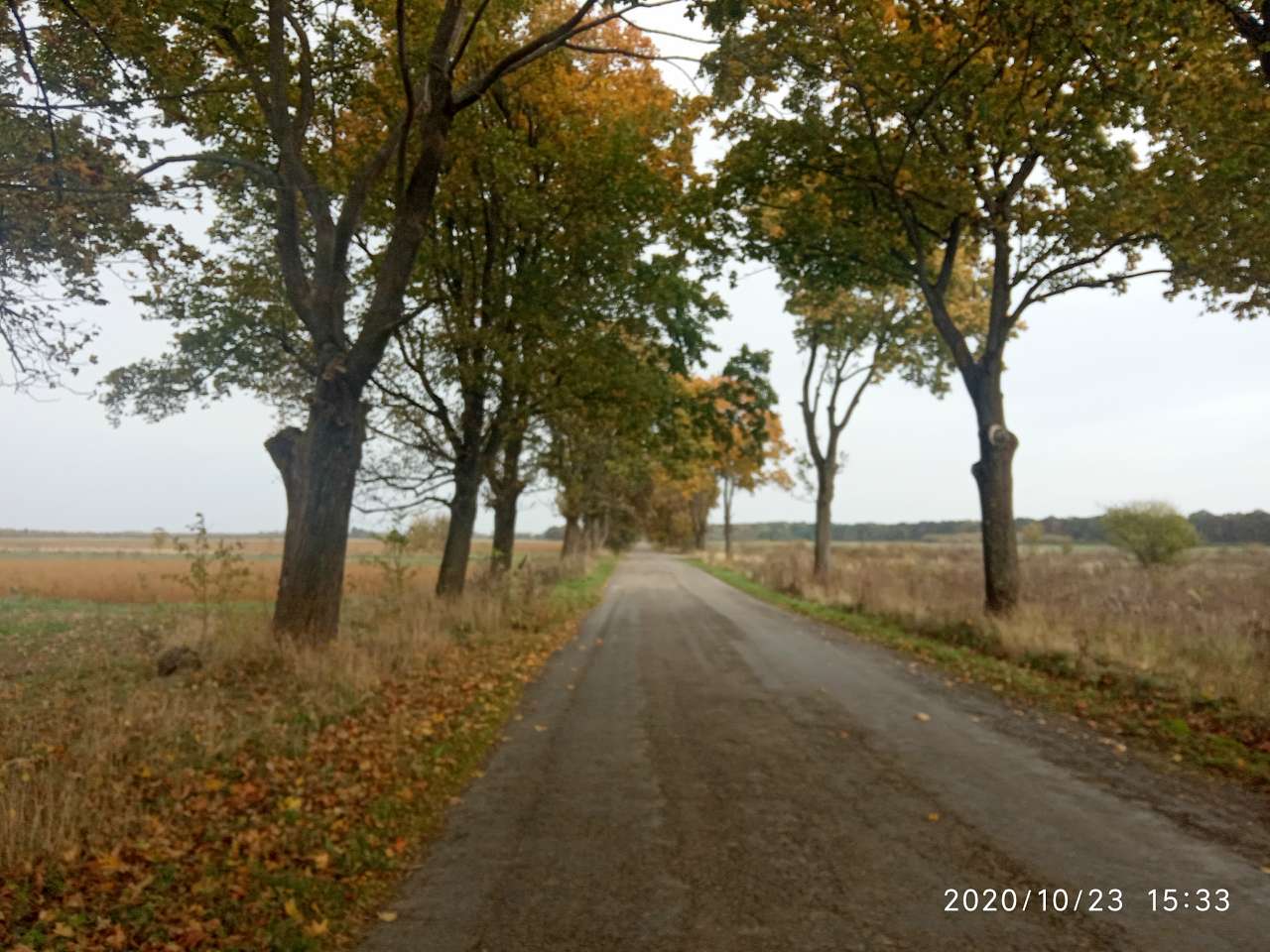 Краєвид - Конюхів