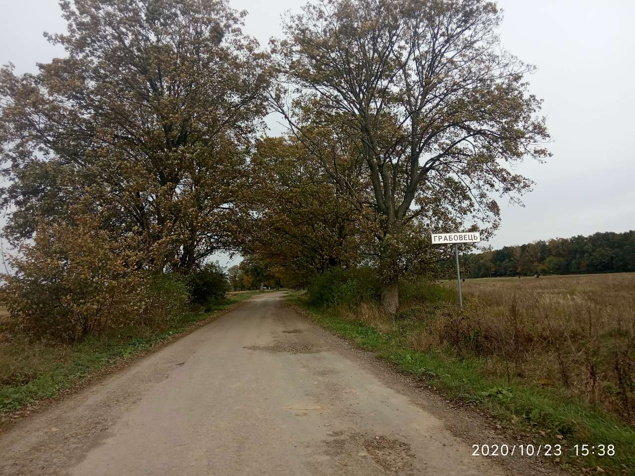 краєвид - Грабовець