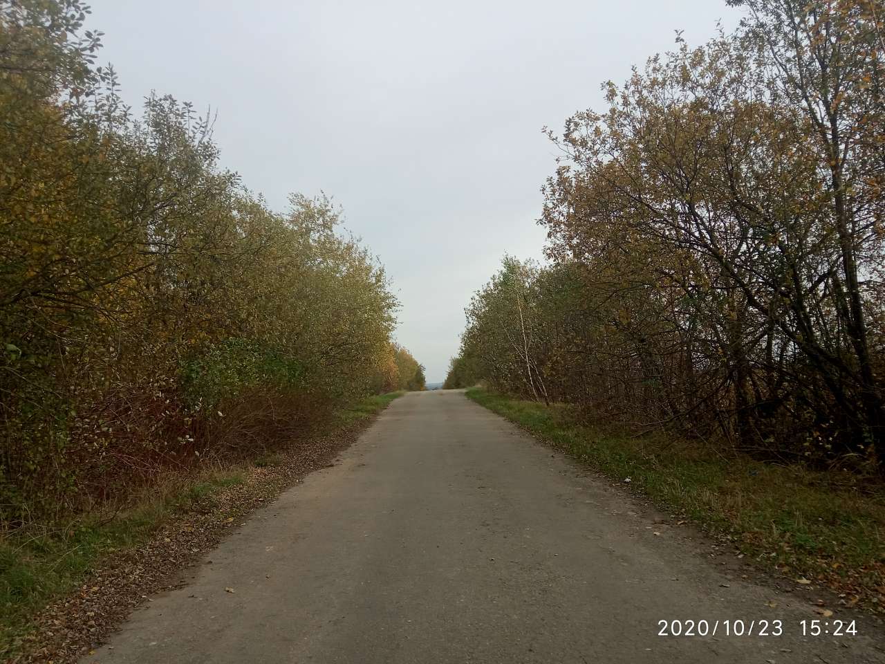 Краєвид - Конюхів