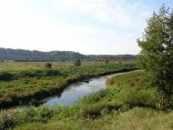 Природа, фото Андрія Сніжка