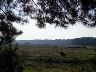 Природа, фото Андрія Сніжка