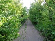 Очима туриста, фото Андрія Сніжка