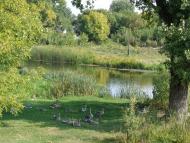 Природа, фото Андрія Сніжка